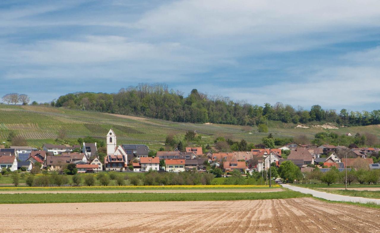 Ferienwohnung In Sueddeutschland Fischingen Exterior photo